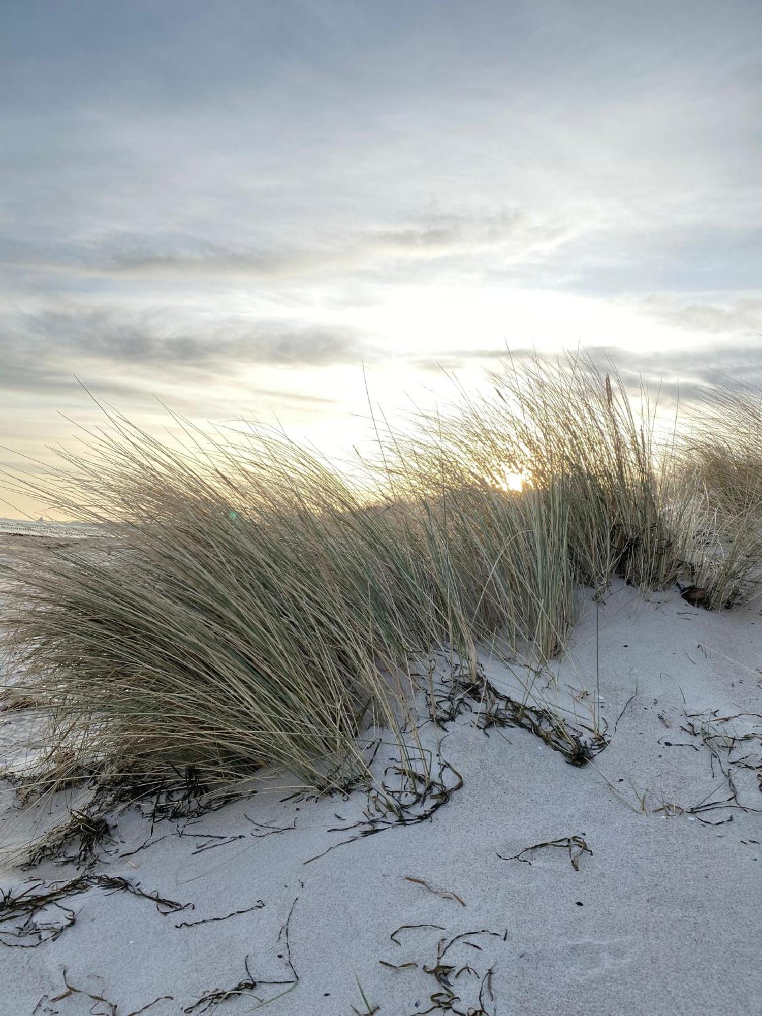 Meehrblick App 215 Daire Zingst Dış mekan fotoğraf